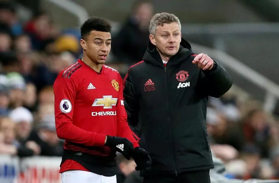 理念的实效 理念的实效